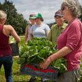 The Ultimate Guide to Volunteering at Food Festivals in King County, Washington