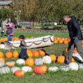 The Growing Trend of Sustainable and Organic Food Festivals in King County, Washington