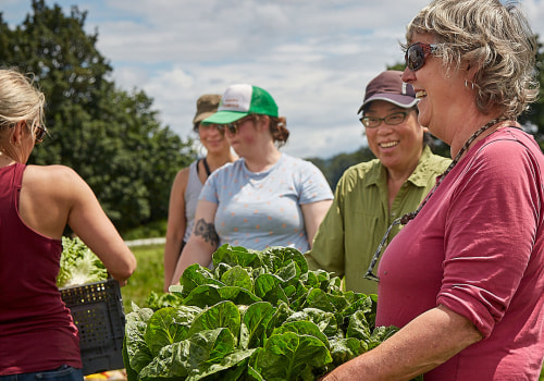 The Ultimate Guide to Volunteering at Food Festivals in King County, Washington