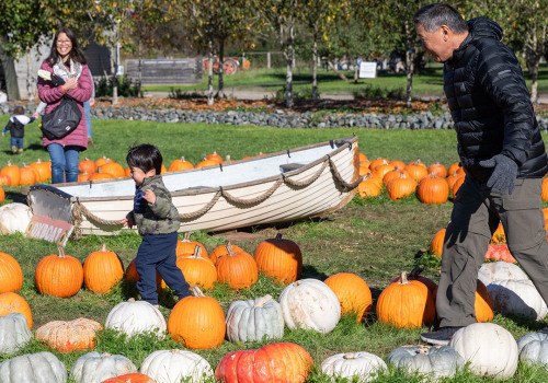 The Growing Trend of Sustainable and Organic Food Festivals in King County, Washington